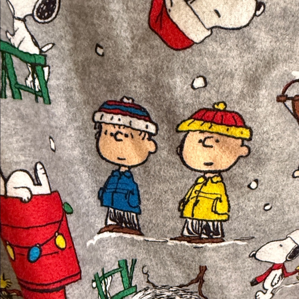 Peanuts Gray Pajamas- top and pants- with Snoopy and The Peanuts gang. Large - Picture 7 of 8